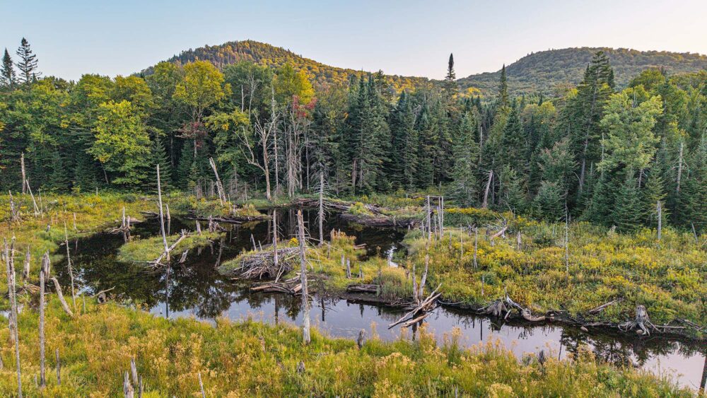 Nearly 5,000 acres are now protected in the upper Saint-Charles River watershed