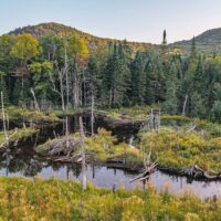 A Major Acquisition for Water Quality