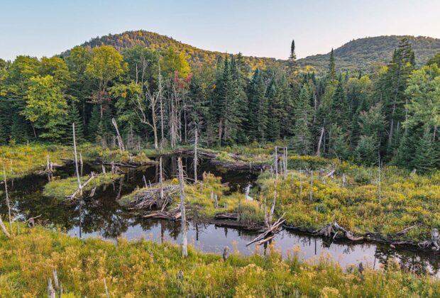 Nearly 5,000 acres are now protected in the upper Saint-Charles River watershed