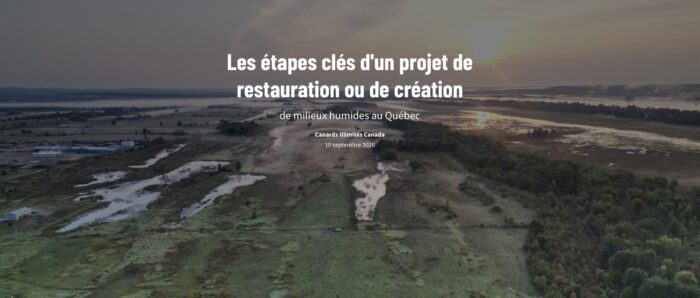 The new story map