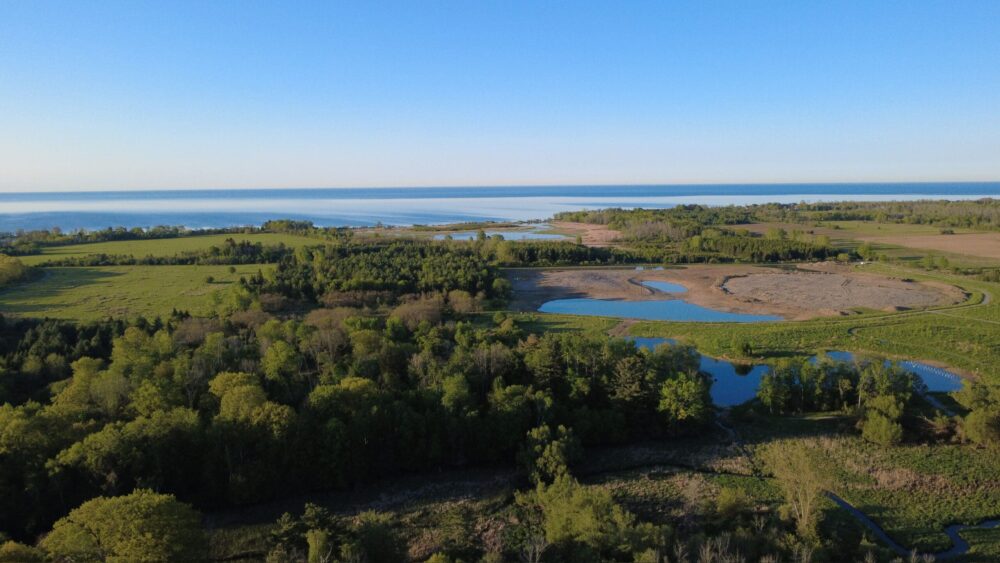 Central Lake Ontario Conservation Authority and Ducks Unlimited Canada restore over 10 hectares of coastal wetlands and secure future funding