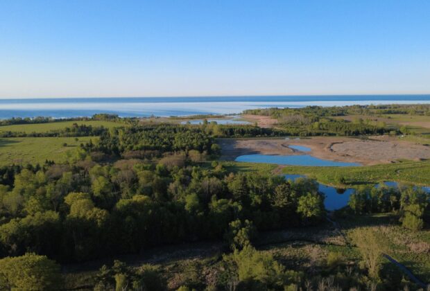 Central Lake Ontario Conservation Authority and Ducks Unlimited Canada restore over 10 hectares of coastal wetlands and secure future funding