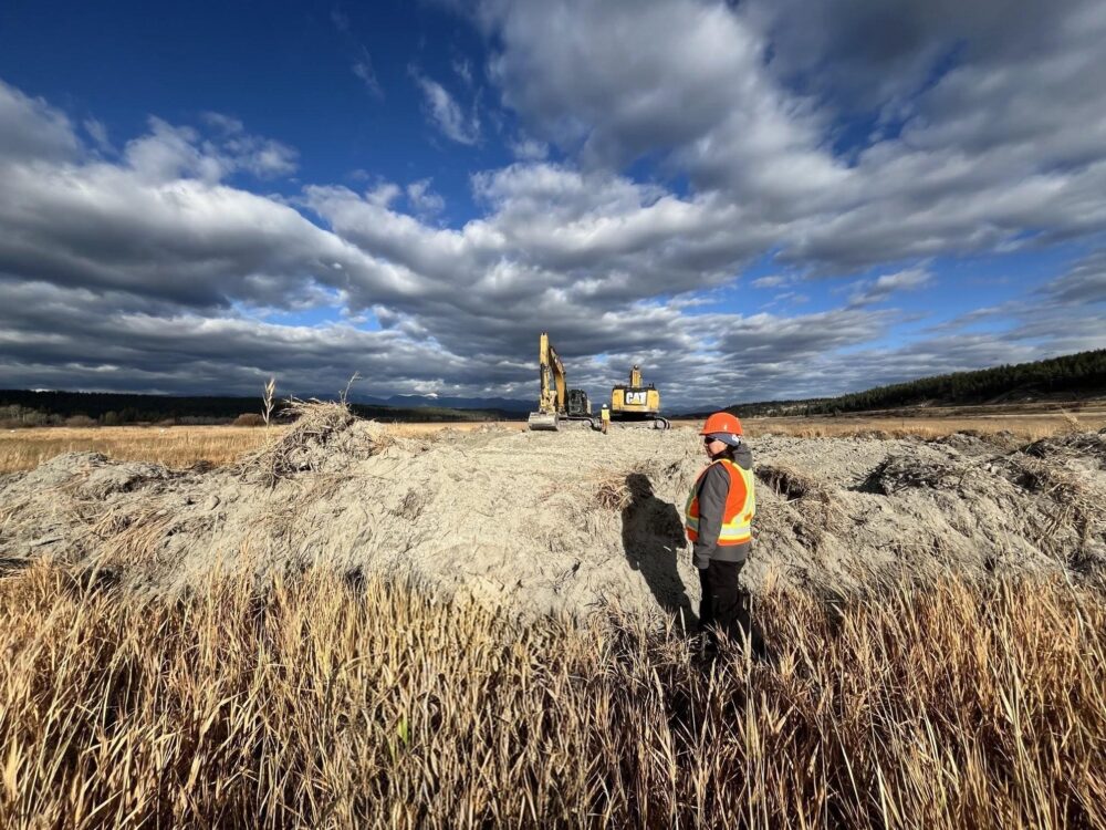Restoration gains momentum at Bummers Flats