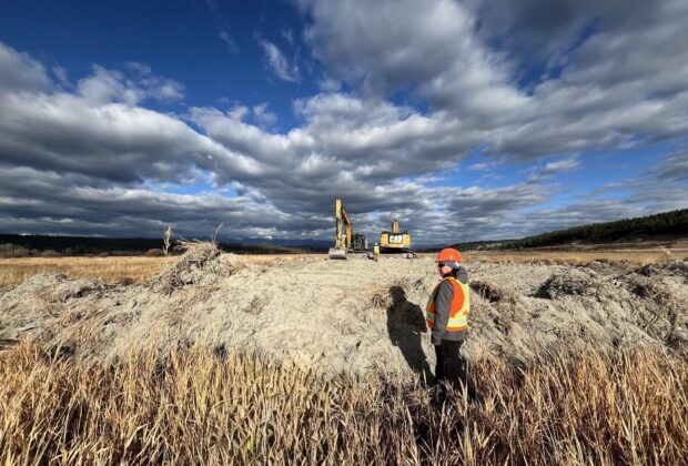 Restoration gains momentum at Bummers Flats