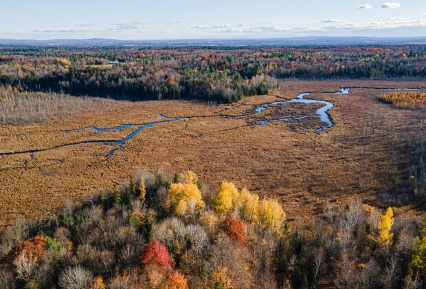 $2 million in land donations help conserve over 1,100 acres in the MRC d’Argenteuil