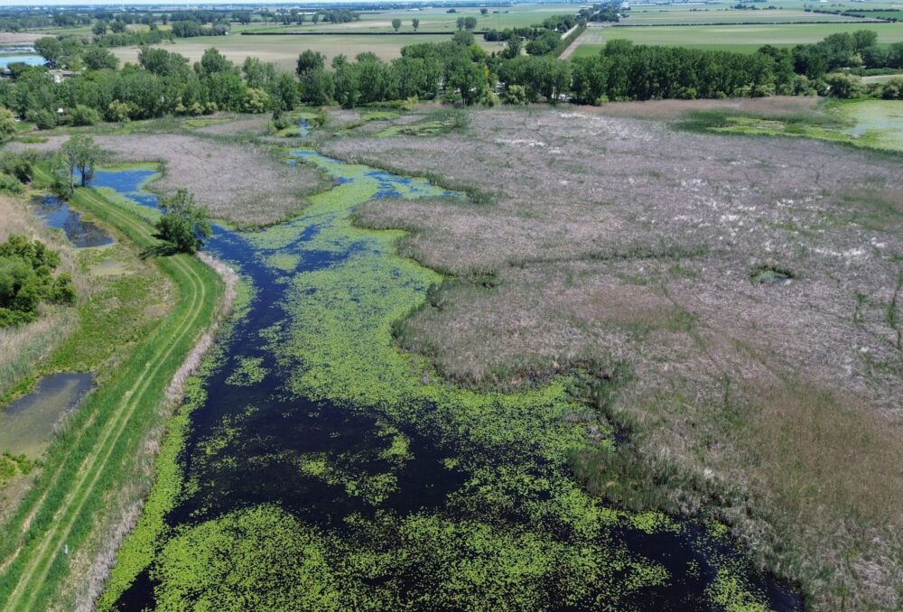 An aerial view of St. Luke’s Marsh.
