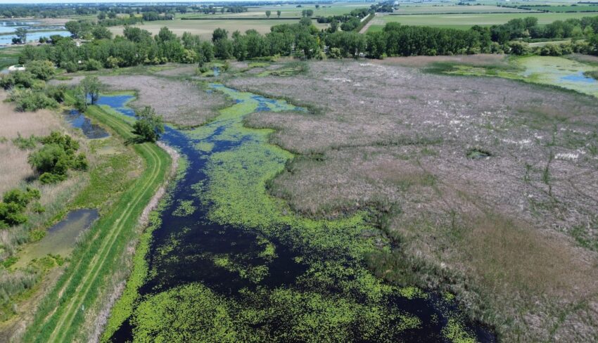 The restoration of St. Luke’s Marsh