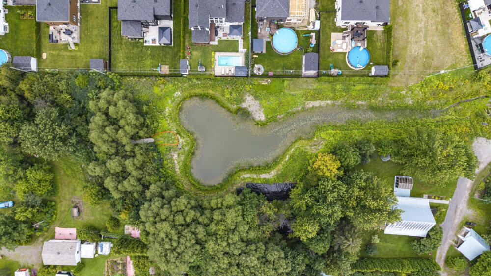 The revitalized Chemin Doré basin combines stormwater management, biodiversity, and access to green spaces.