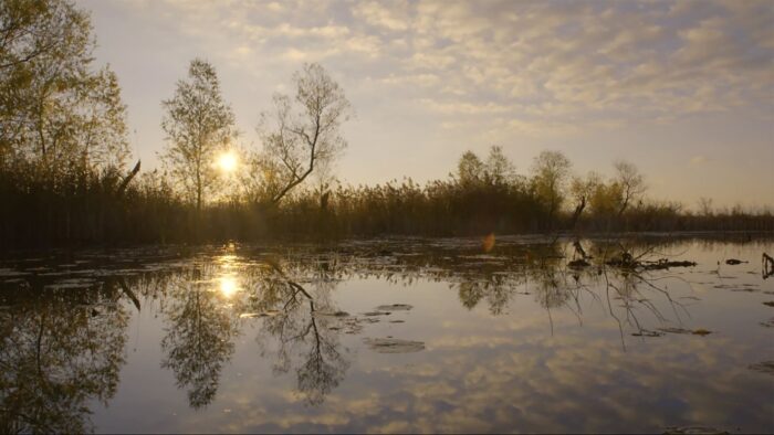 St. Luke's Marsh.