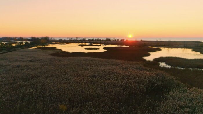 St. Luke's Marsh.