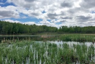 Citizen scientists get their start down on the farm